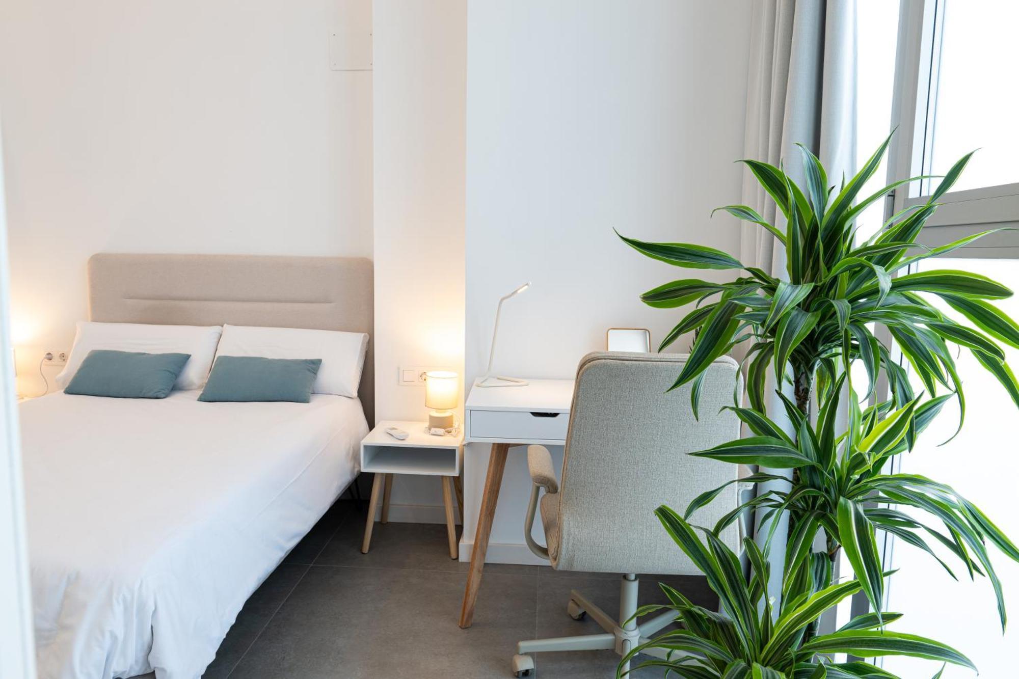 Main Lofts Valencia公寓 外观 照片